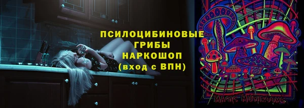 mix Богородск