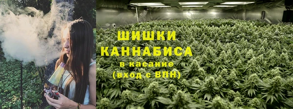 mix Богородск